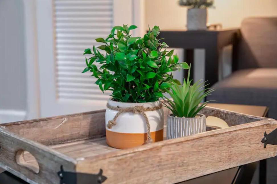 Westshore South Tampa Apt公寓 外观 照片