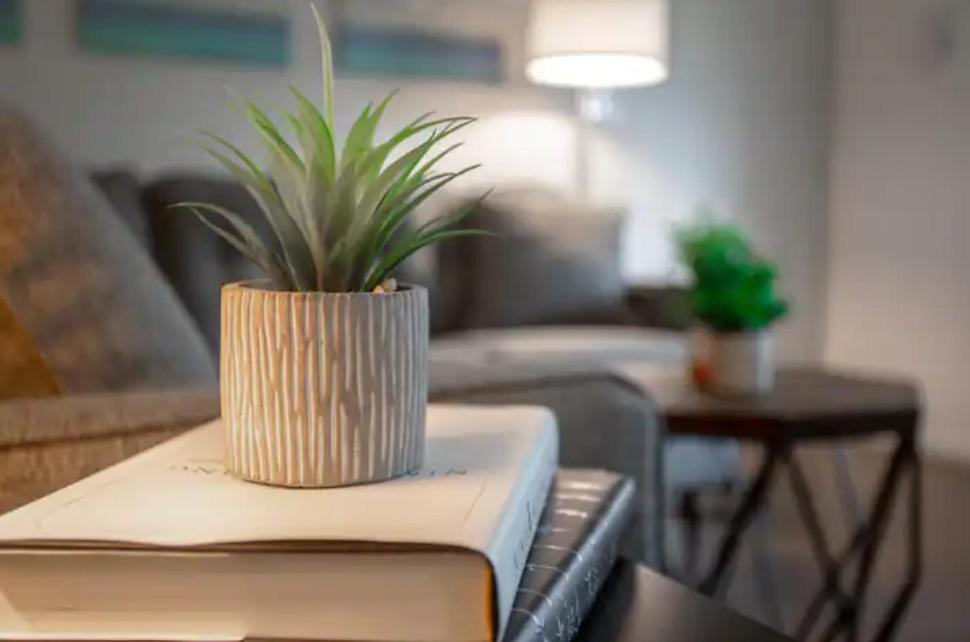 Westshore South Tampa Apt公寓 外观 照片